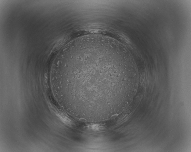 X0000060580365200511031342