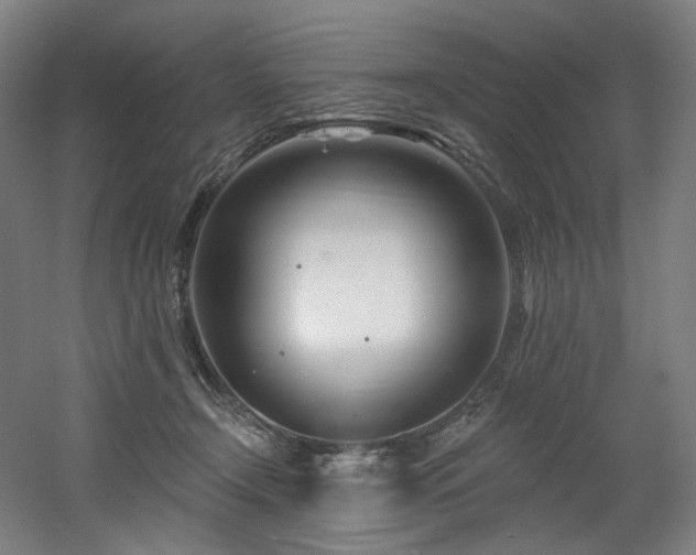 X0000060580366200511031342