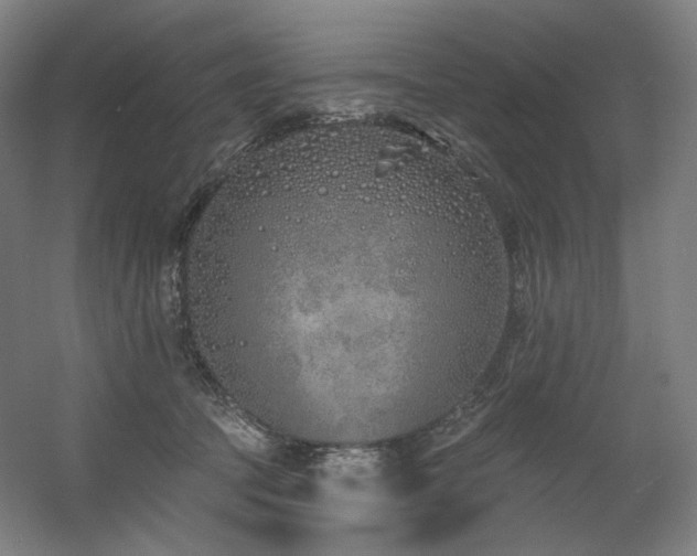 X0000060580369200511031342