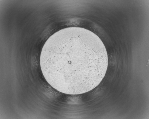 X0000060580370200511031342