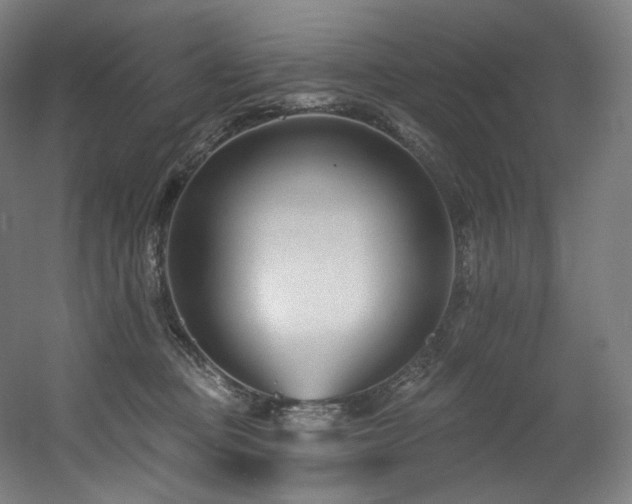 X0000060580373200511031342