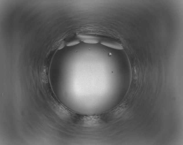 X0000060580378200511031342