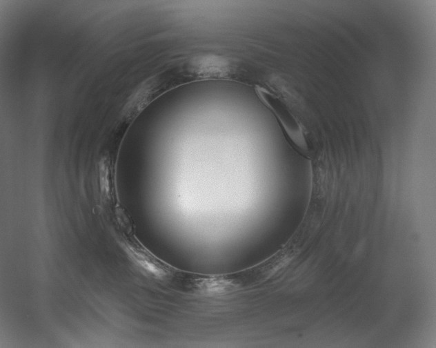 X0000060580379200511031342