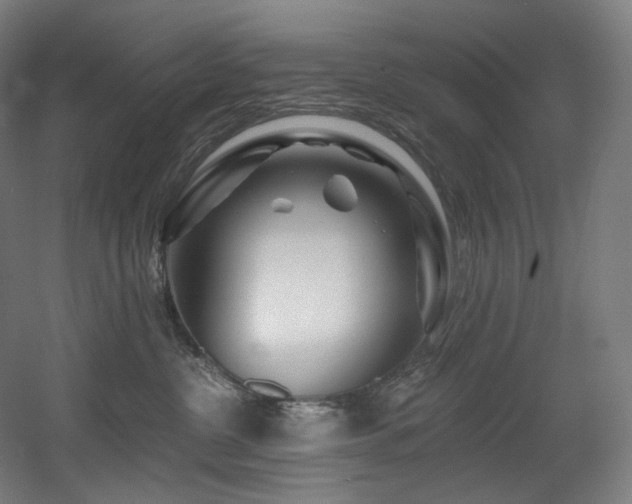 X0000060580380200511031342