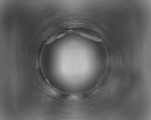 X0000060580381200511031342