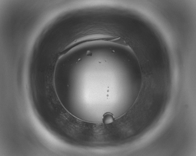 X0000060580382200511031342