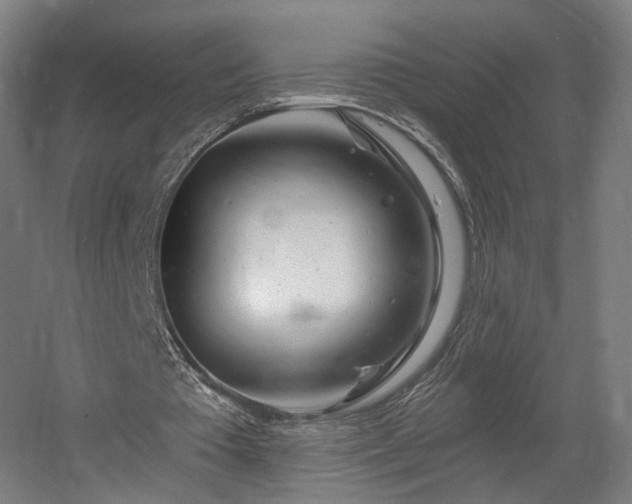 X0000060580385200511031341