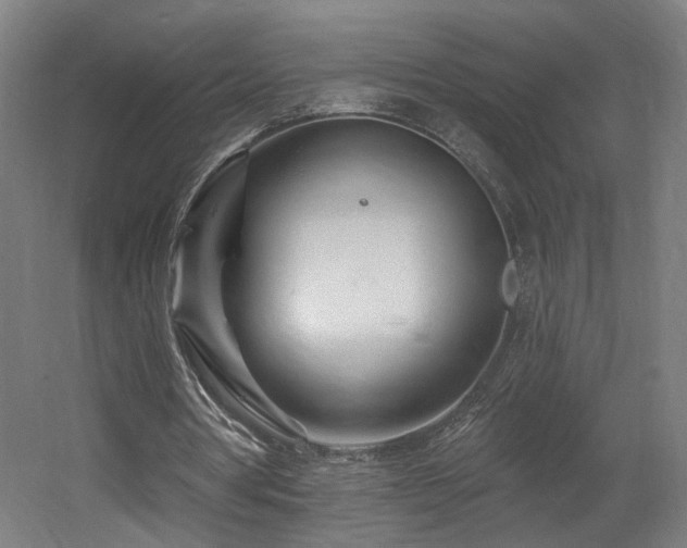 X0000060580386200511031341