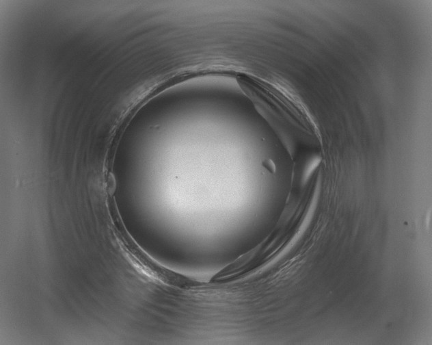 X0000060580389200511031341