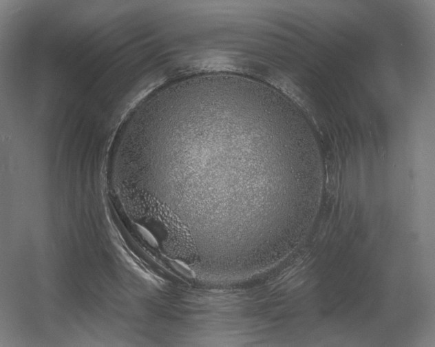 X0000060580390200511031341