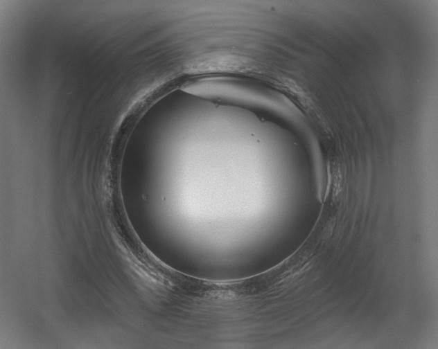 X0000060580392200511031341