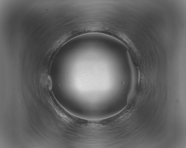 X0000060580393200511031341