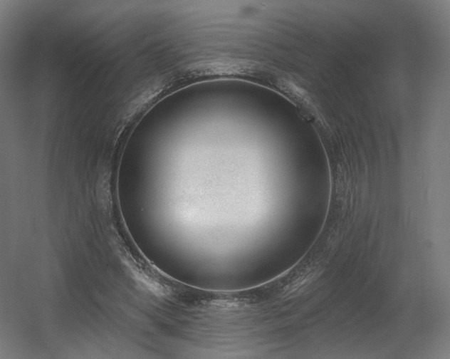 X0000060580394200511031341