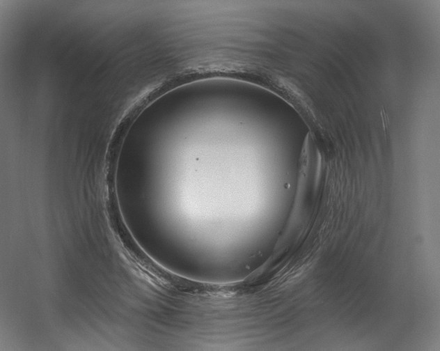 X0000060580395200511031341