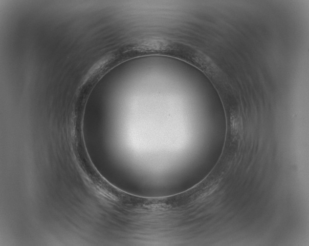 X0000060580396200511031341