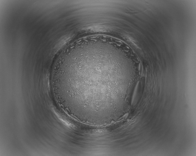 X0000060580398200511031341