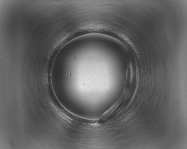 X0000060580399200511031341