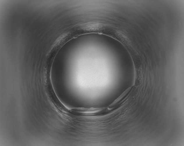 X0000060580400200511031341