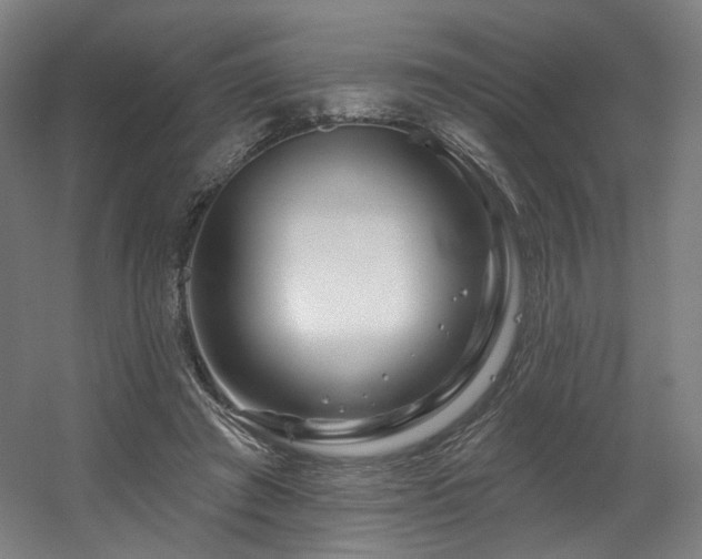 X0000060580401200511031341