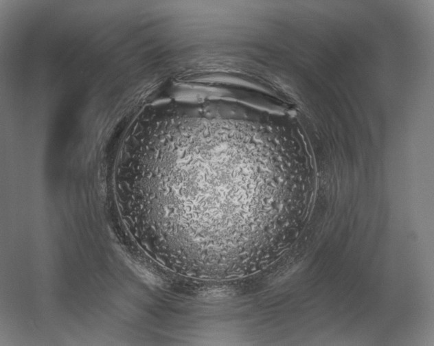 X0000060580402200511031341