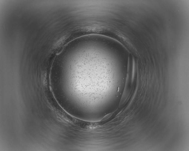 X0000060580403200511031341