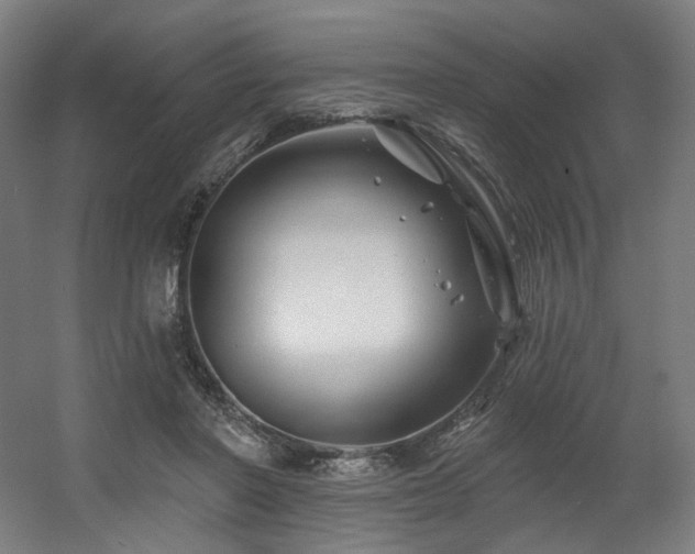 X0000060580406200511031341