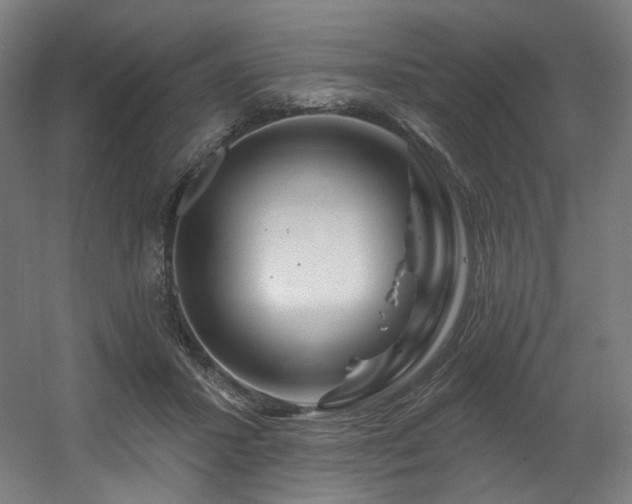 X0000060580407200511031341