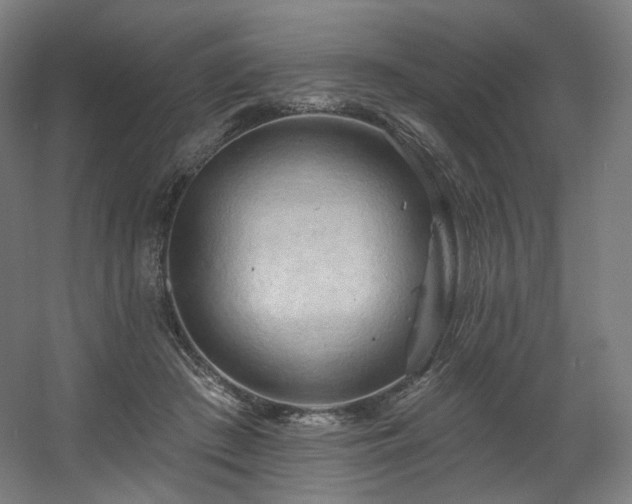 X0000060580409200511031341