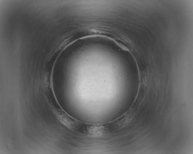 X0000060580410200511031341