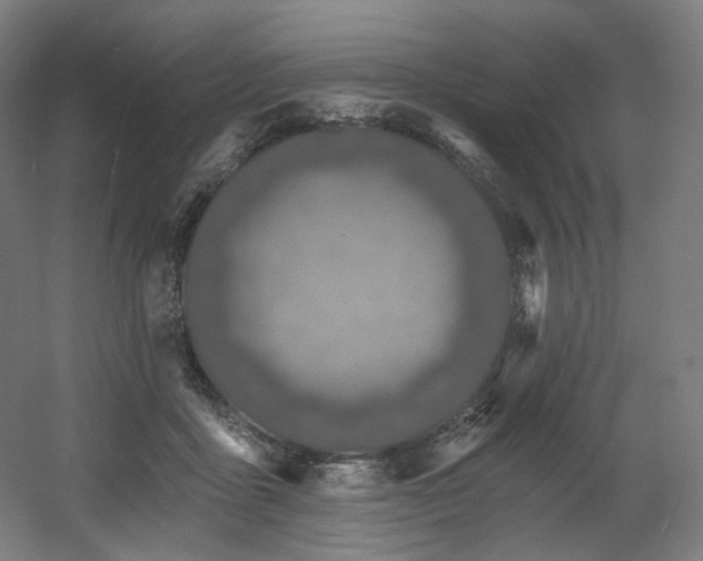 X0000060580411200511031341