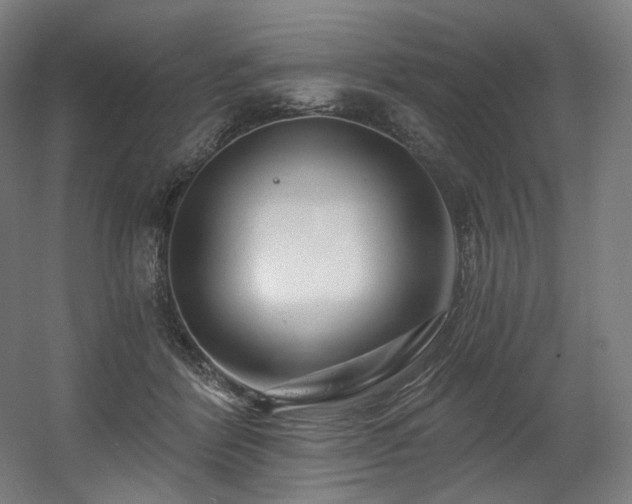 X0000060580412200511031341