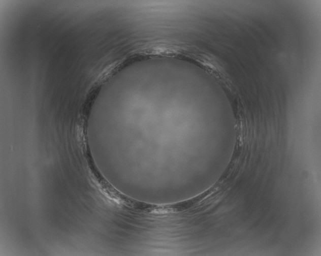 X0000060580415200511031341