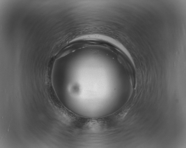 X0000060580416200511031341