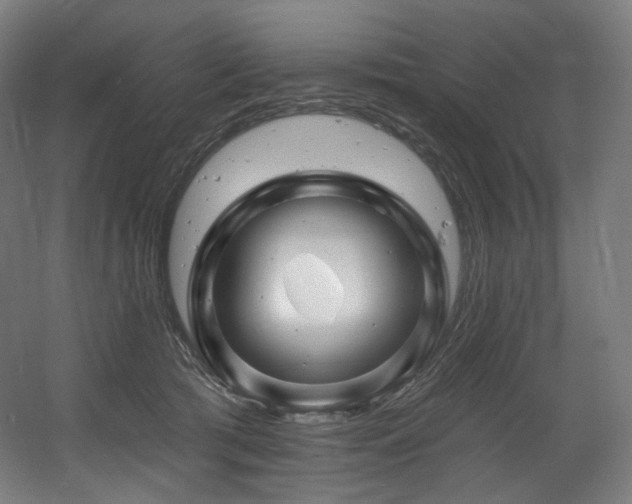 X0000060580417200511031341