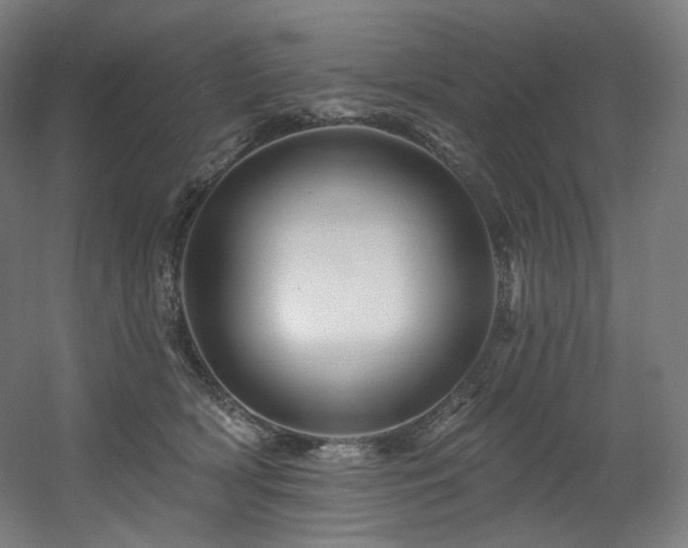 X0000060580418200511031341