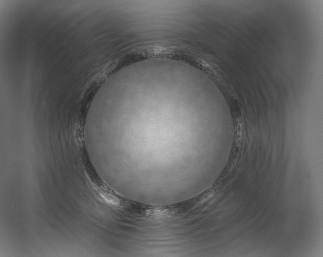 X0000060580419200511031341