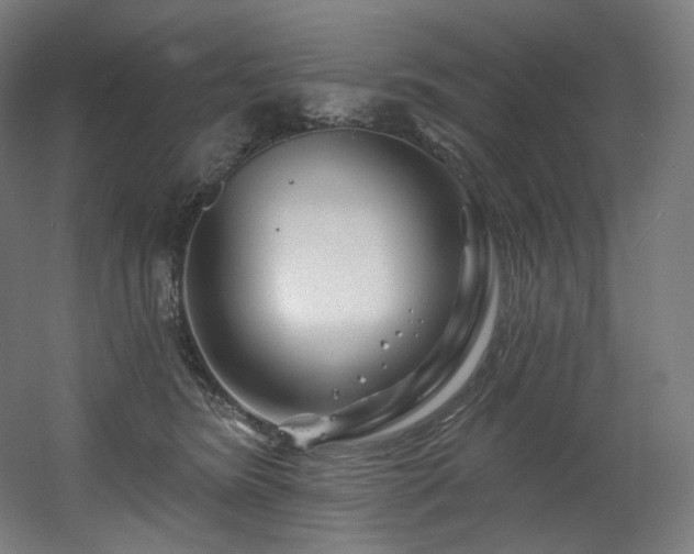 X0000060580420200511031341