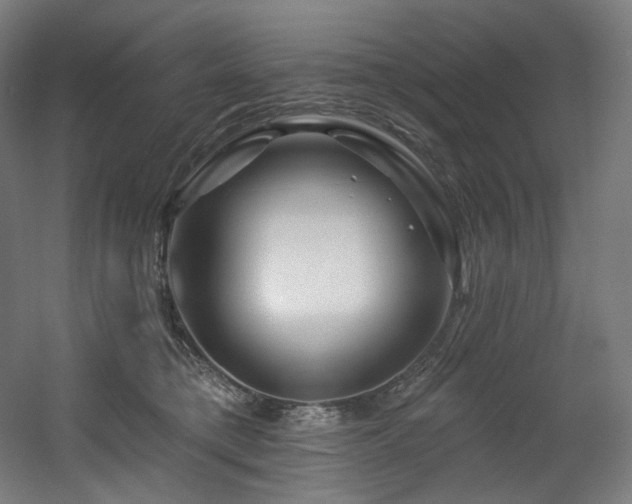 X0000060580421200511031341