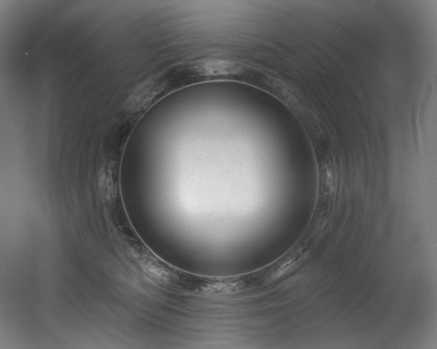 X0000060580422200511031341