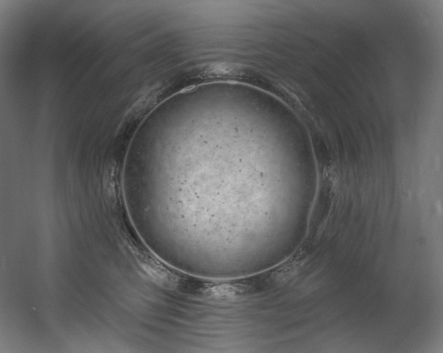 X0000060580423200511031341