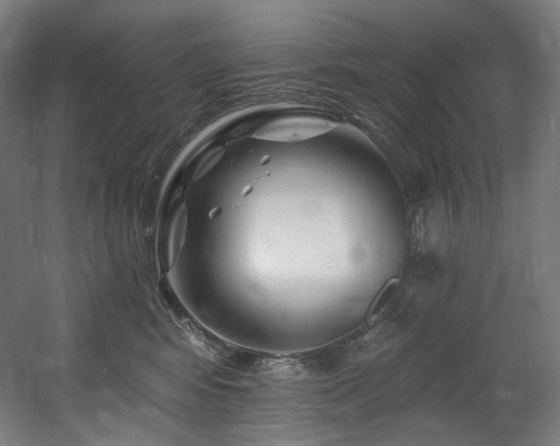 X0000060580424200511031341