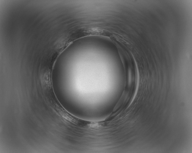 X0000060580425200511031341