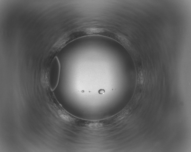 X0000060580426200511031341