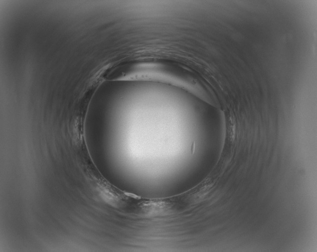 X0000060580428200511031341