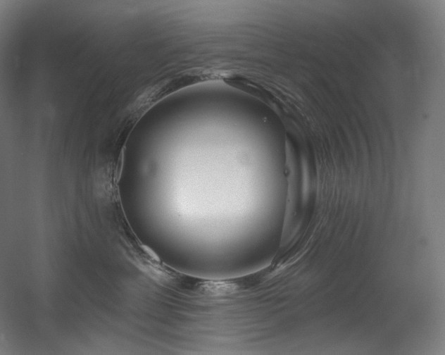 X0000060580429200511031341