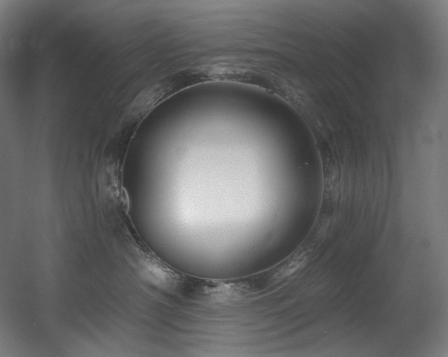 X0000060580430200511031341