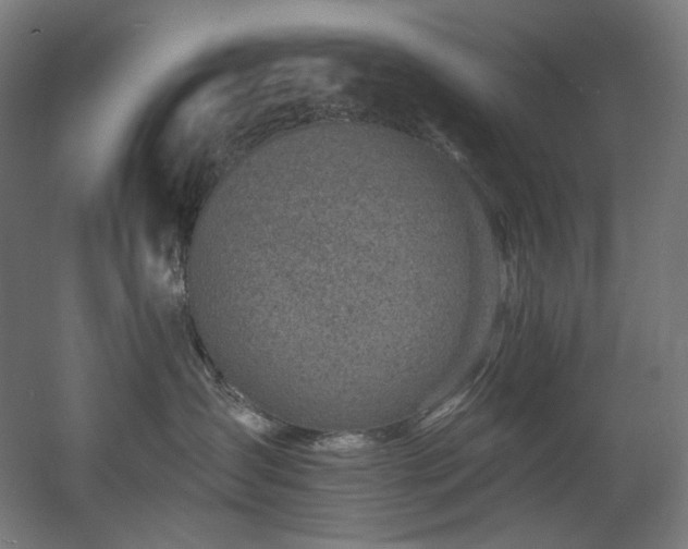 X0000060580431200511031341