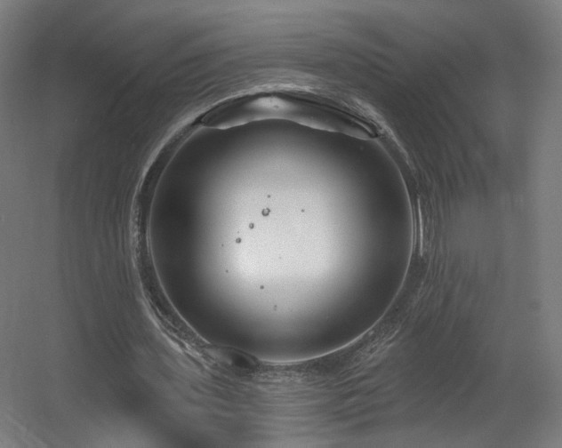 X0000060580435200511031340