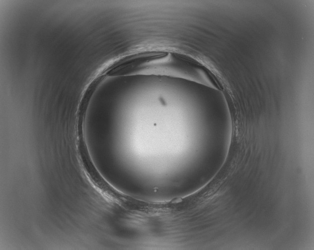 X0000060580438200511031340