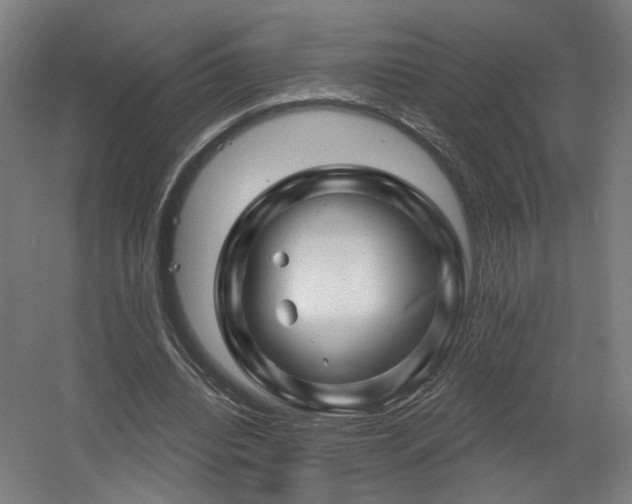 X0000060580440200511031340